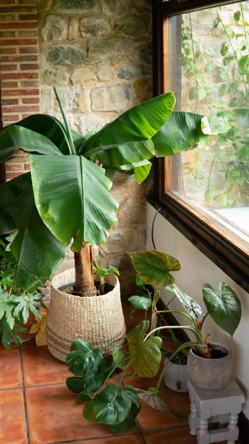 Casa 'Ohana Rioturbio Exteriör bild